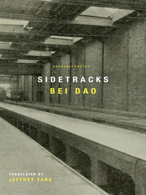cover image of Sidetracks